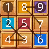 Number Link Puzzle Challenge