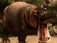 Hippo River Adventure Simulator