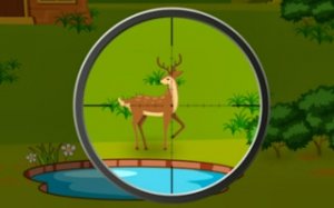 Deer Observation 2D Simulation
