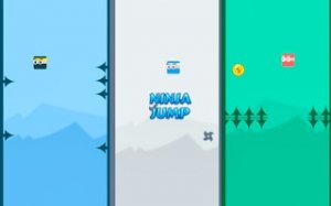 Ninja Leap Arcade Reflex