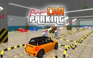 Precision Parking Challenge