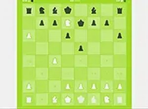Chess Folly: Whimsical Tactics