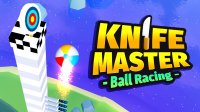 Precision Ball Racing Arcade